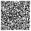 QR code with Arches contacts