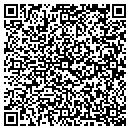 QR code with Carey Products/Svcs contacts