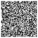 QR code with Pyramid Drywall contacts