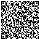 QR code with Cyclone Well Drilling contacts