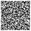 QR code with PVA Incorporated contacts