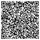 QR code with Public Safety Building contacts