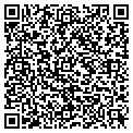 QR code with Merlin contacts