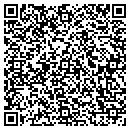 QR code with Carver Communication contacts