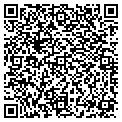 QR code with Tapex contacts