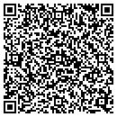 QR code with Public Storage contacts