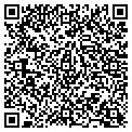 QR code with Curves contacts