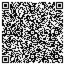 QR code with Professional Standards contacts