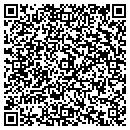QR code with Precision Motors contacts