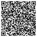 QR code with Subway contacts