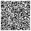 QR code with Public Works contacts