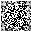 QR code with Public Storage contacts