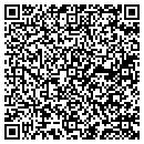 QR code with Curveview 18 Express contacts
