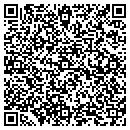 QR code with Precious Playtime contacts