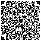 QR code with Baldwin Log & Timbercrafters contacts