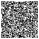 QR code with PROCESS EFFICIENCY contacts