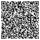 QR code with Central Tax Service contacts