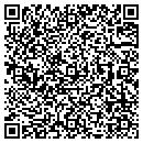 QR code with Purple Onion contacts