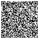 QR code with Public Finance Assoc contacts