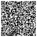 QR code with Protocol contacts
