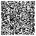 QR code with Wcvs contacts