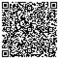 QR code with Alltel contacts