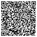 QR code with Valic contacts