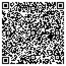 QR code with Barnstormer contacts