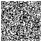 QR code with Badlands Consulting & Cnstr contacts