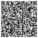 QR code with Brian Mathison DDS contacts