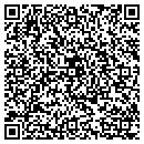 QR code with Pulse USA contacts