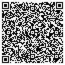 QR code with Professional Benefits contacts