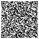 QR code with Pro Systems Audio contacts