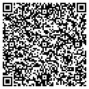 QR code with Prairie Computer contacts