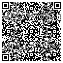 QR code with Bison Twin Theaters contacts