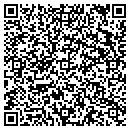 QR code with Prairie Painting contacts