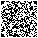 QR code with Premiere Pages contacts
