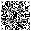 QR code with Premiere Storage contacts