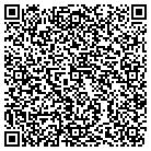 QR code with Badlands Communications contacts