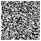 QR code with Blue Stream Water Systems contacts