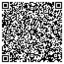 QR code with Precision Services contacts