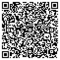 QR code with Vitech contacts