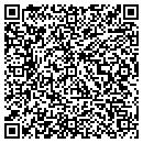 QR code with Bison Capital contacts