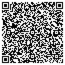 QR code with Public Image Service contacts