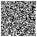 QR code with Pv Auto Sales contacts