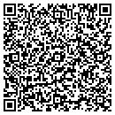 QR code with City Parcel Delivery contacts