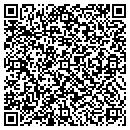 QR code with Pulkrabek Law Offices contacts