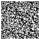 QR code with Precision Plastics contacts