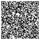QR code with Protection Systems Inc contacts