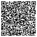 QR code with Bugout contacts